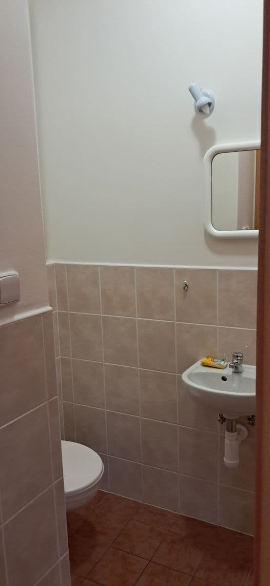 Prenájom bytu 3-izbový 60 m², Čistovická, Praha, Praha Prenájom bytu 3-izbový 60 m², Čistovická, Praha, Praha