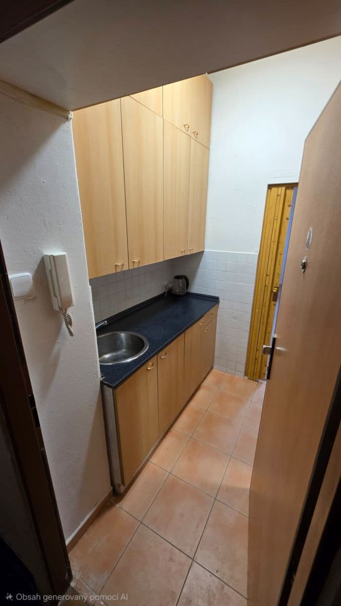 Prenájom bytu 1-izbový 24 m², Křížová, Praha, Praha Prenájom bytu 1-izbový 24 m², Křížová, Praha, Praha