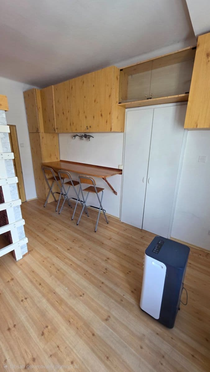 Prenájom bytu 1-izbový 24 m², Křížová, Praha, Praha Prenájom bytu 1-izbový 24 m², Křížová, Praha, Praha
