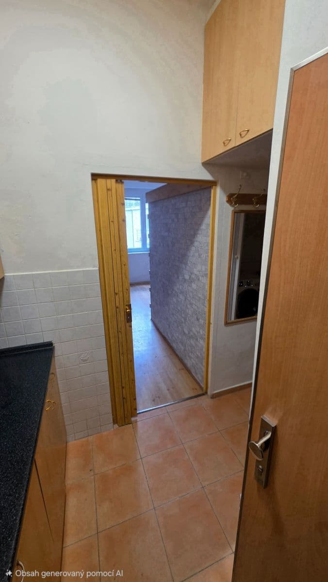 Prenájom bytu 1-izbový 24 m², Křížová, Praha, Praha Prenájom bytu 1-izbový 24 m², Křížová, Praha, Praha