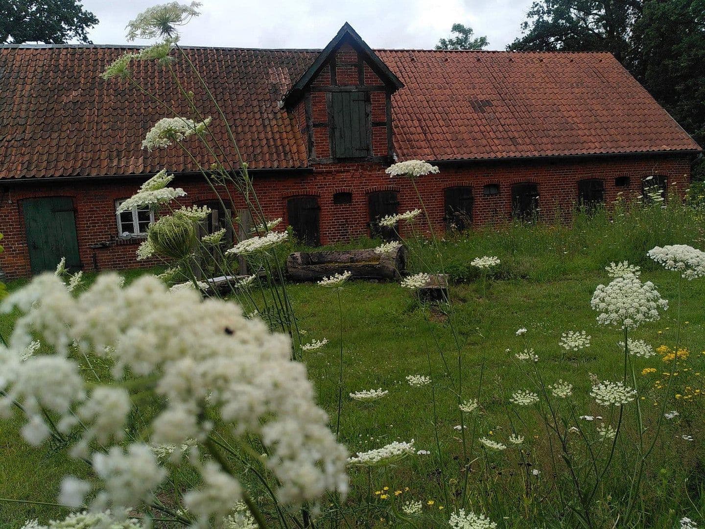 Predaj domu 430 m², pozemok 4.900 m², Rullstorf, Dolné Sasko Predaj domu 430 m², pozemok 4.900 m², Rullstorf, Dolné Sasko