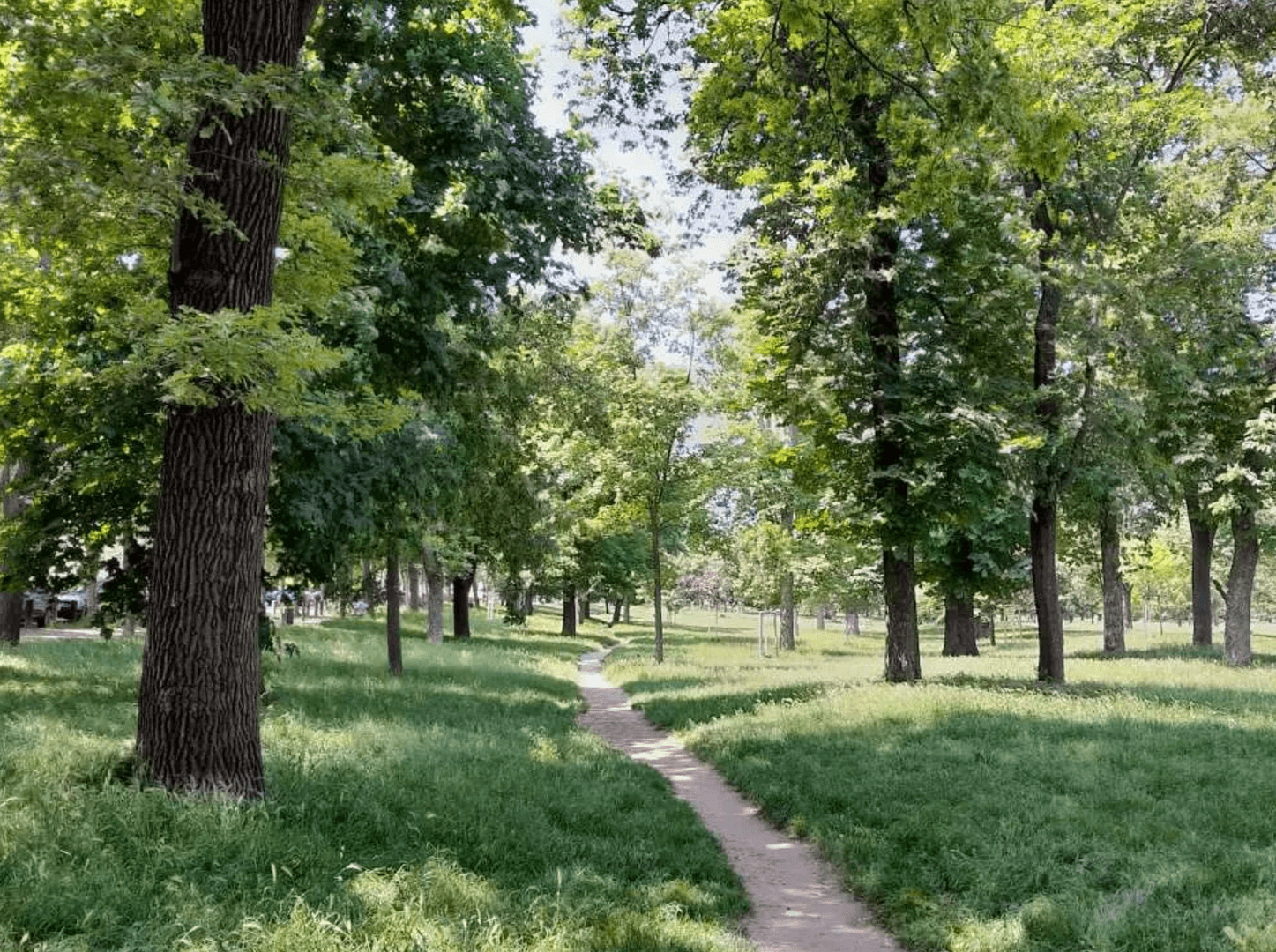 Prenájom bytu 2-izbový 35 m², Wien, Viedeň Prenájom bytu 2-izbový 35 m², Wien, Viedeň