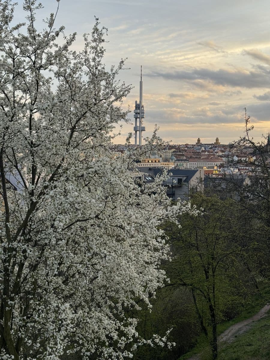 Prenájom bytu 39 m², Tachovske namesti, Praha, Praha Prenájom bytu 39 m², Tachovske namesti, Praha, Praha