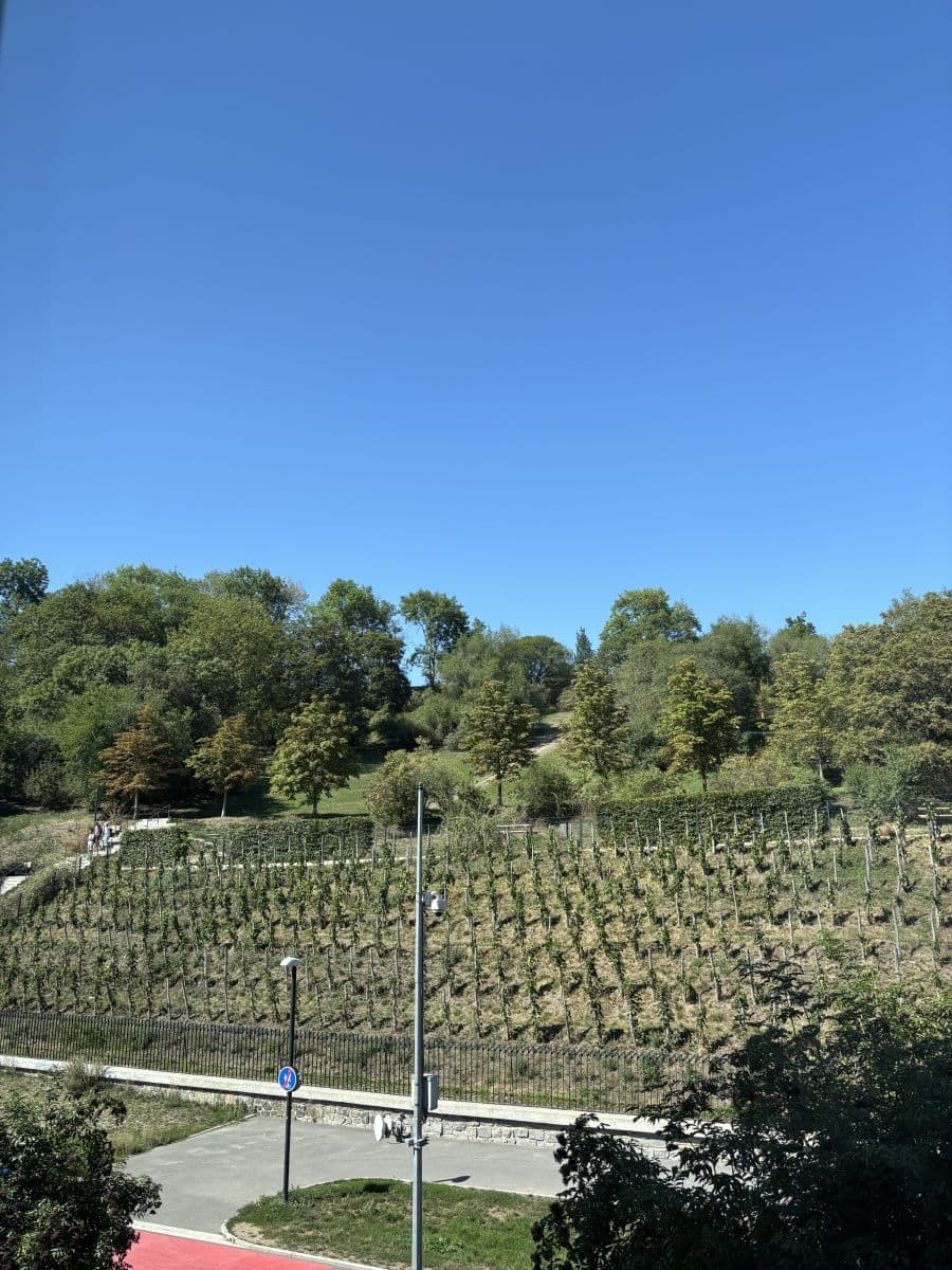 Prenájom bytu 39 m², Tachovske namesti, Praha, Praha Prenájom bytu 39 m², Tachovske namesti, Praha, Praha