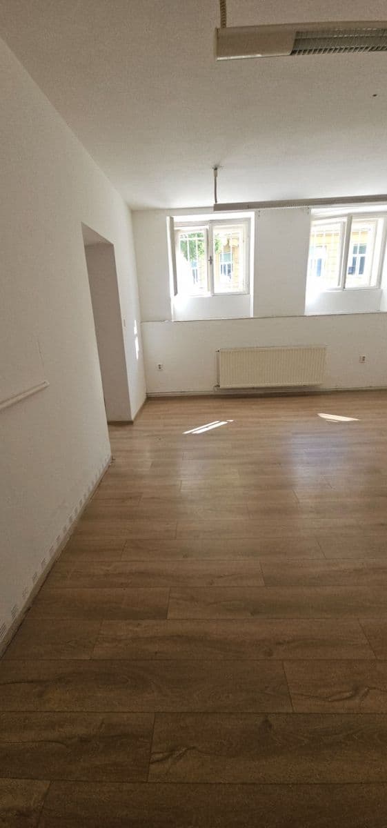 Prenájom bytu 2-izbový 60 m², třída Spojenců, Opava, Moravskoslezský kraj Prenájom bytu 2-izbový 60 m², třída Spojenců, Opava, Moravskoslezský kraj