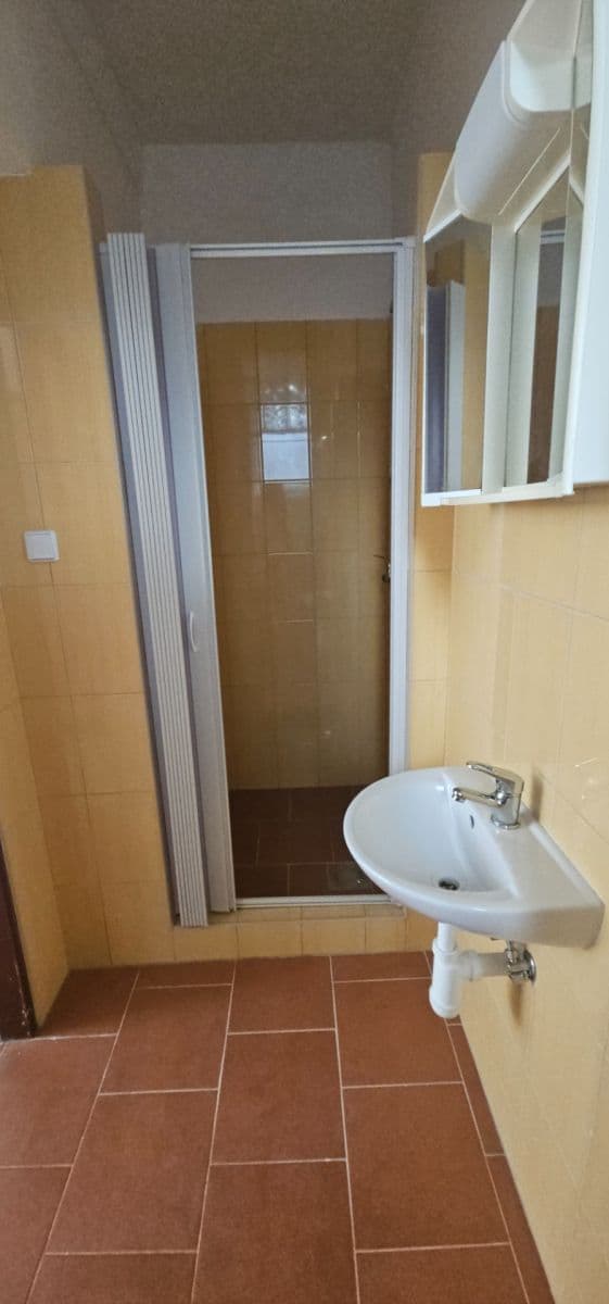 Prenájom bytu 2-izbový 60 m², třída Spojenců, Opava, Moravskoslezský kraj Prenájom bytu 2-izbový 60 m², třída Spojenců, Opava, Moravskoslezský kraj