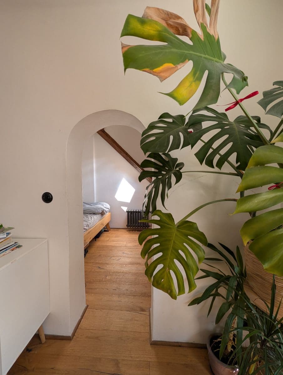 Prenájom bytu 2-izbový 44 m², 8. listopadu, Praha, Praha Prenájom bytu 2-izbový 44 m², 8. listopadu, Praha, Praha
