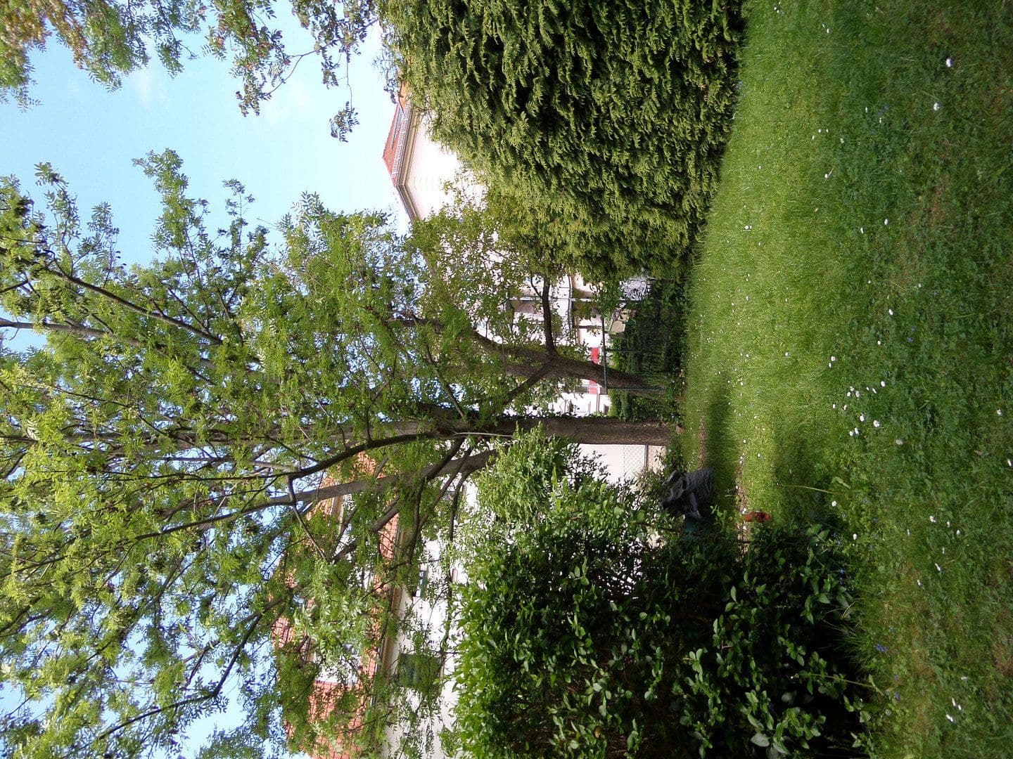 Predaj bytu 3-izbový 71 m², Unkersdorfer Straße 18, Dresden, Sasko Predaj bytu 3-izbový 71 m², Unkersdorfer Straße 18, Dresden, Sasko