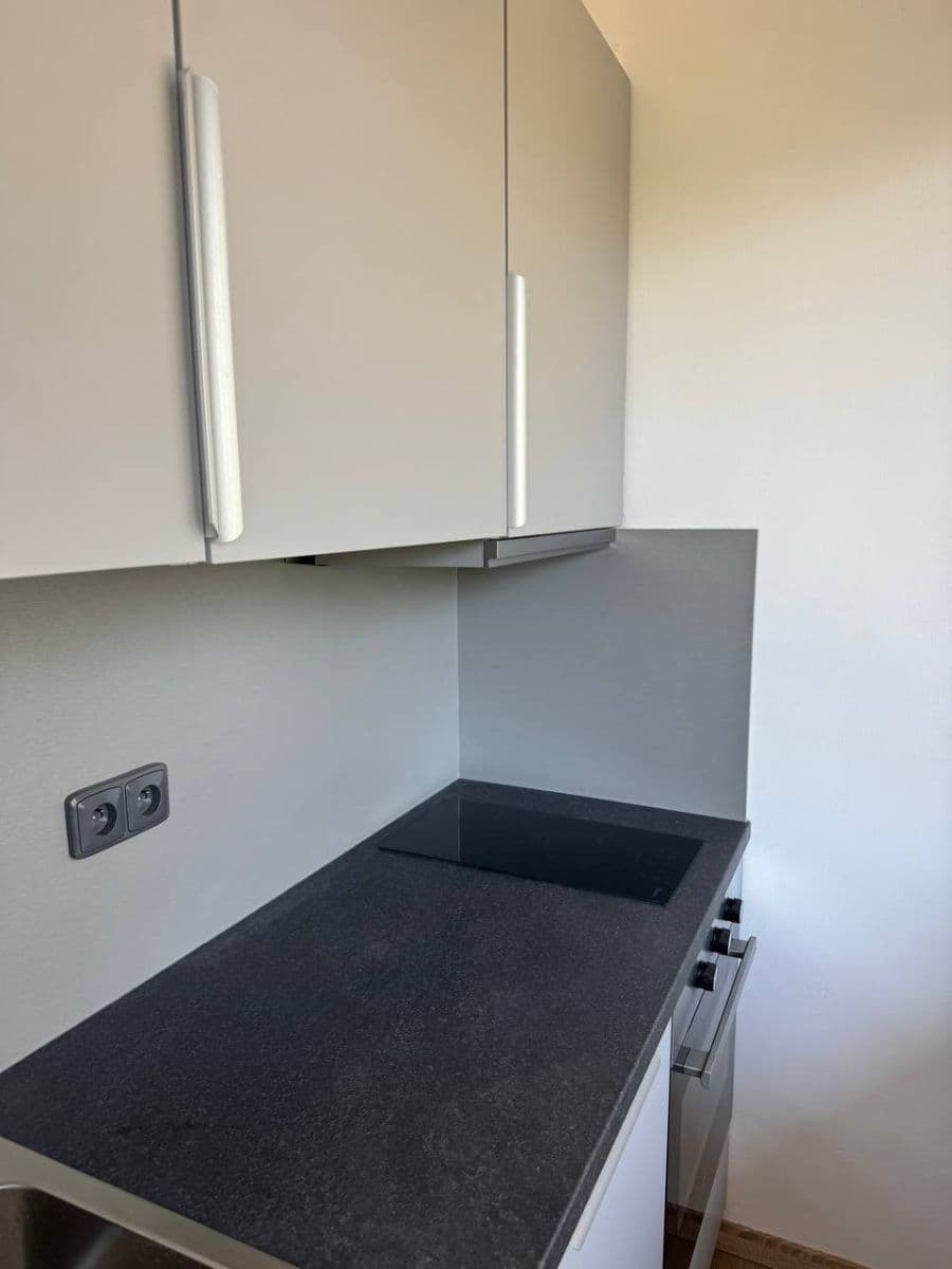 Prenájom bytu 1-izbový 33 m², Pod Třebešínem, Praha, Praha Prenájom bytu 1-izbový 33 m², Pod Třebešínem, Praha, Praha