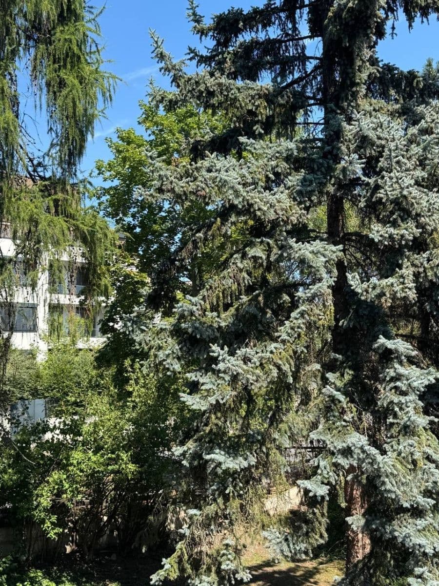Prenájom bytu 1-izbový 33 m², Pod Třebešínem, Praha, Praha Prenájom bytu 1-izbový 33 m², Pod Třebešínem, Praha, Praha