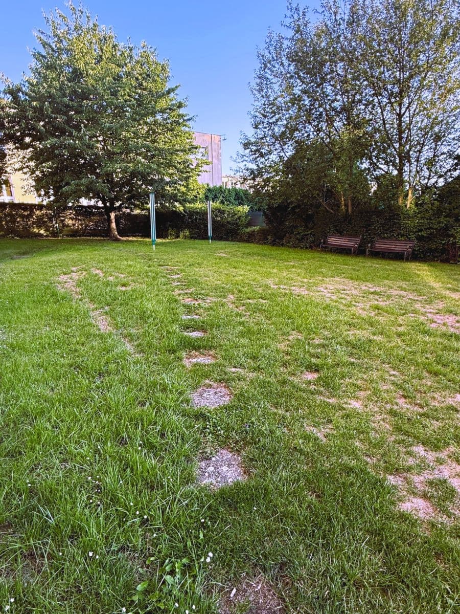 Prenájom bytu 2-izbový 54 m², Školní, Průhonice, Středočeský kraj Prenájom bytu 2-izbový 54 m², Školní, Průhonice, Středočeský kraj