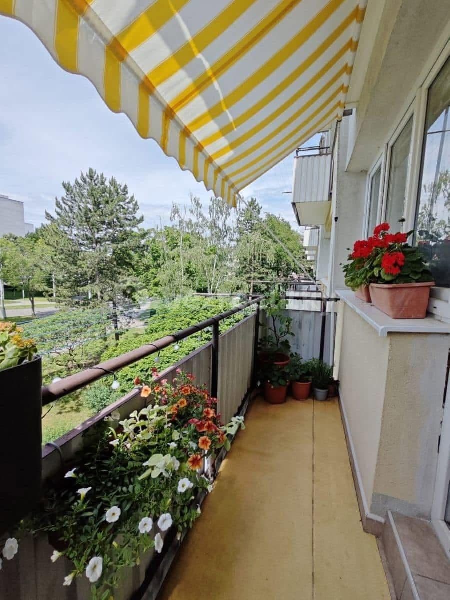 Prenájom bytu 3-izbový 54 m², Gagarinova, Hradec Králové, Královéhradecký kraj Prenájom bytu 3-izbový 54 m², Gagarinova, Hradec Králové, Královéhradecký kraj