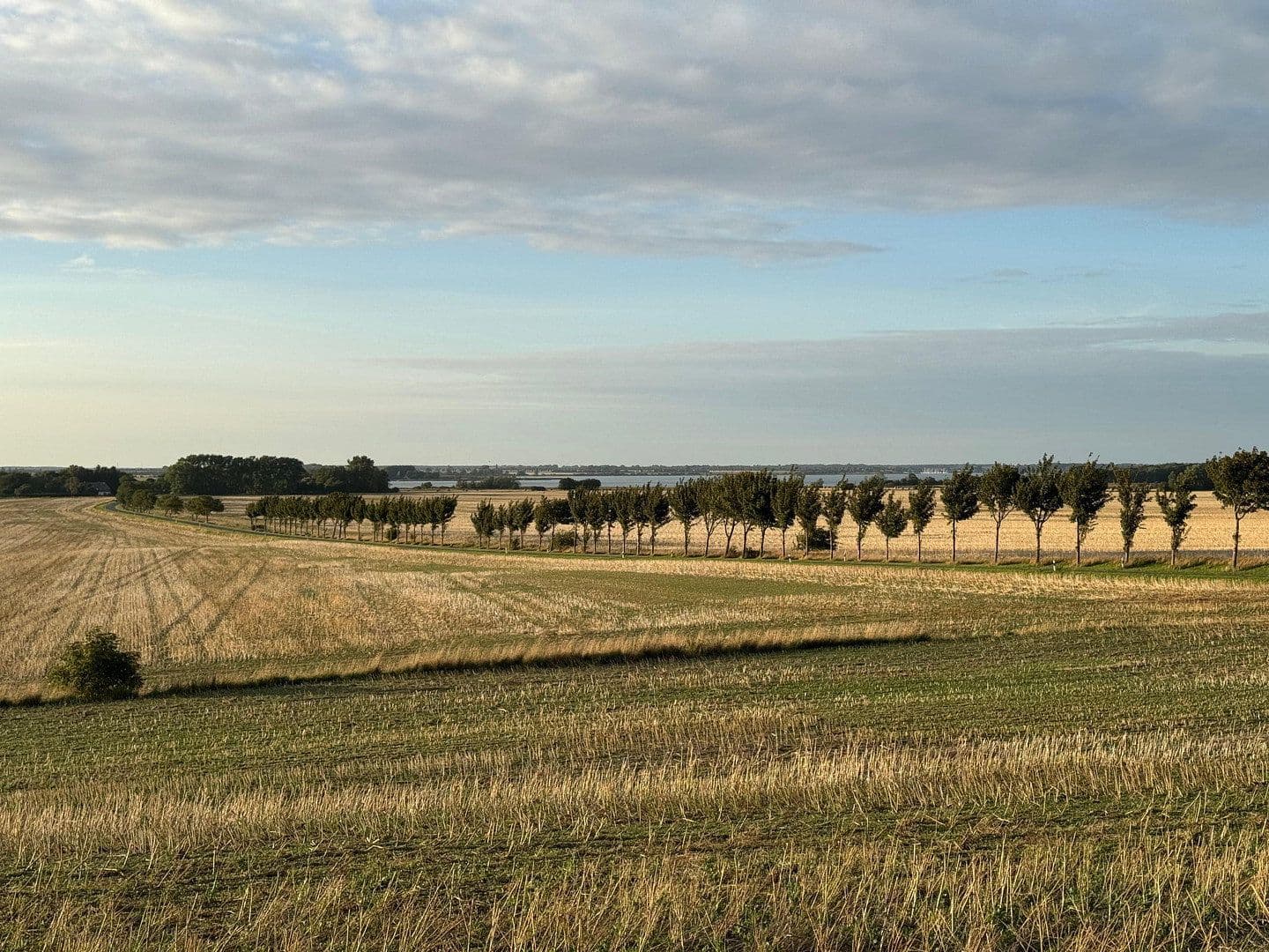 Predaj domu 86 m², pozemok 2.789 m², Neuenkirchen, Meklenbursko-Predpomoransko Predaj domu 86 m², pozemok 2.789 m², Neuenkirchen, Meklenbursko-Predpomoransko