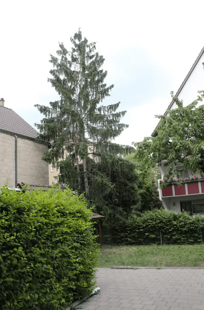 Prenájom bytu 3-izbový 66 m², Halbergstr. 18, Esslingen am Neckar, Bádensko-Wurttembersko Prenájom bytu 3-izbový 66 m², Halbergstr. 18, Esslingen am Neckar, Bádensko-Wurttembersko