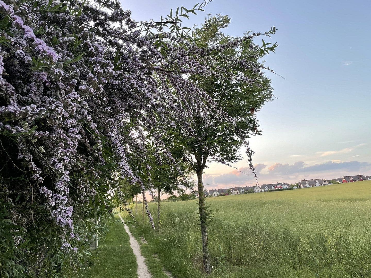 Predaj bytu 3-izbový 84 m², Eulenseekoppel 12, Zierow, Meklenbursko-Predpomoransko Predaj bytu 3-izbový 84 m², Eulenseekoppel 12, Zierow, Meklenbursko-Predpomoransko