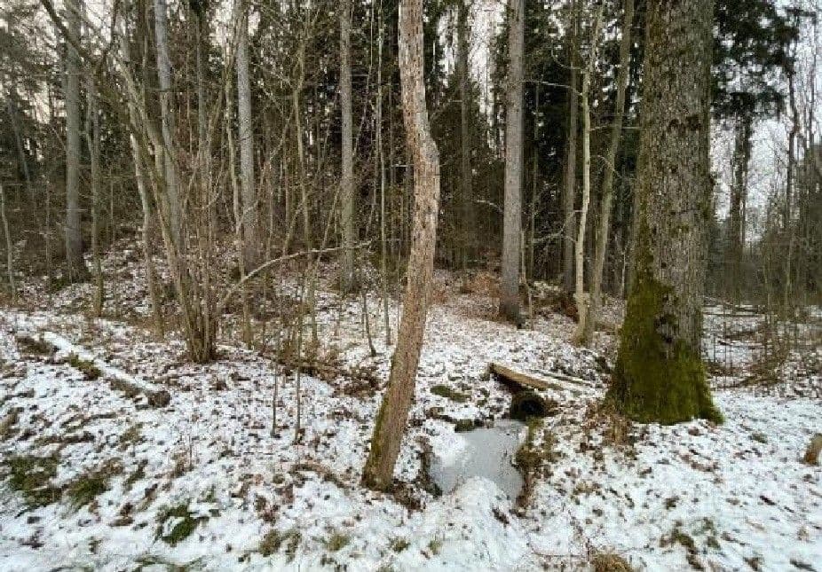 Predaj pozemku 2.124 m², Smrček, Pardubický kraj Predaj pozemku 2.124 m², Smrček, Pardubický kraj