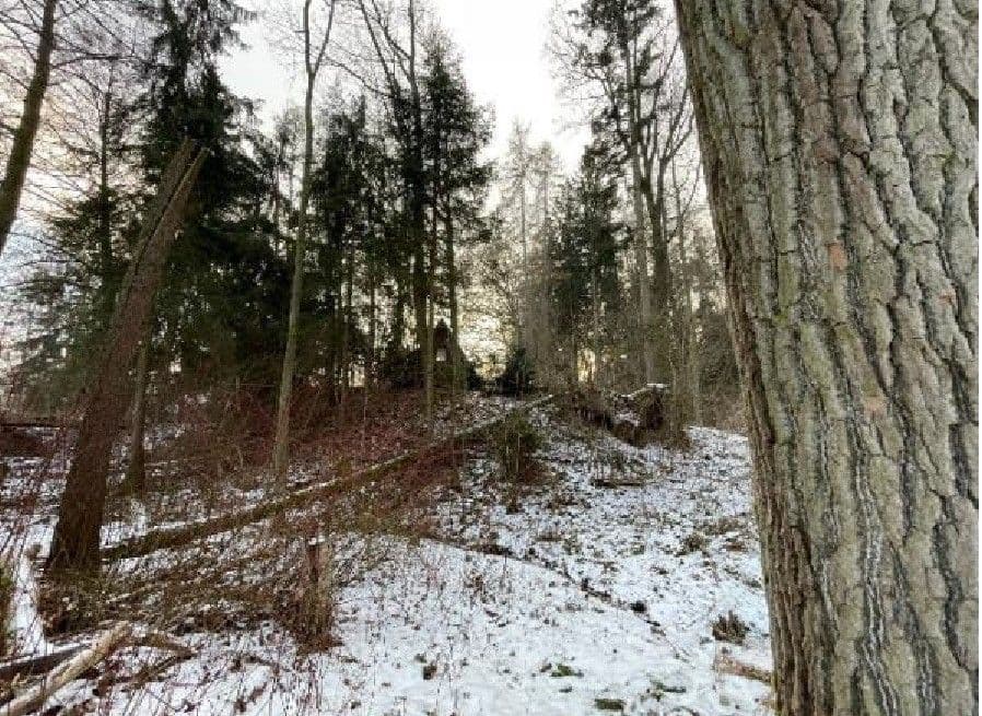 Predaj pozemku 2.124 m², Smrček, Pardubický kraj Predaj pozemku 2.124 m², Smrček, Pardubický kraj