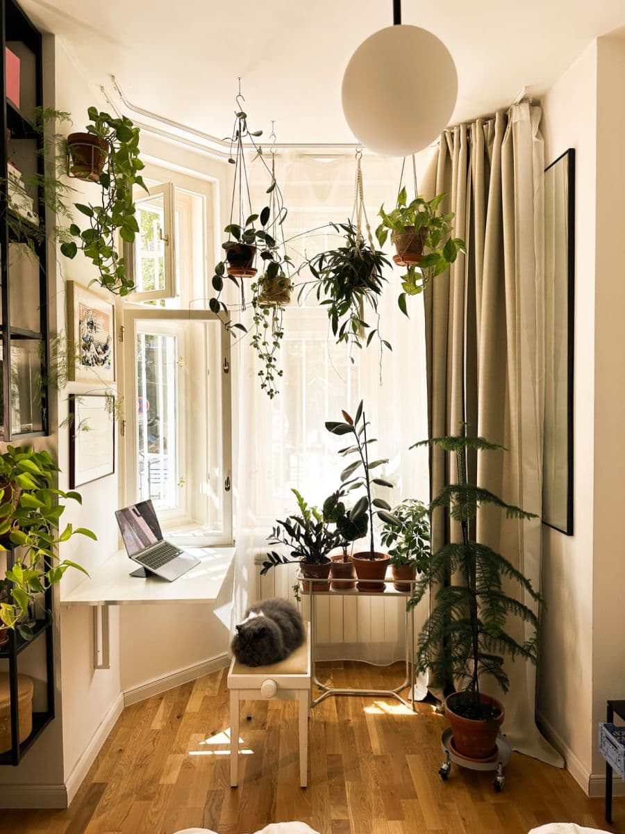 Prenájom bytu 1-izbový 34 m², Ovenecká, Praha, Praha Prenájom bytu 1-izbový 34 m², Ovenecká, Praha, Praha