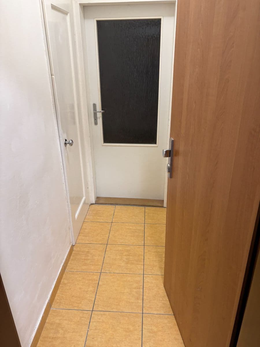Prenájom bytu 2-izbový 42 m², Purkyňova, Brno, Jihomoravský kraj Prenájom bytu 2-izbový 42 m², Purkyňova, Brno, Jihomoravský kraj