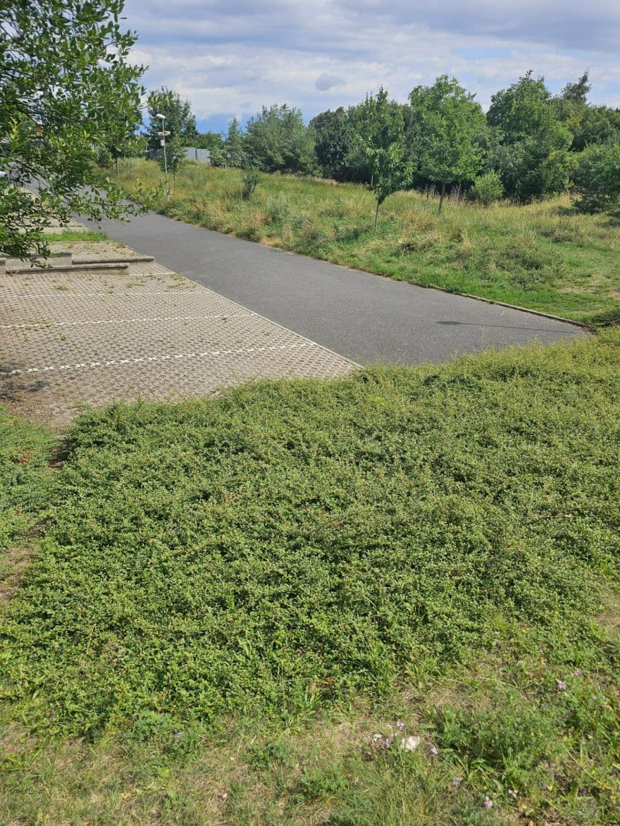 Predaj bytu 3-izbový 80 m², Lederova, Roztoky, Středočeský kraj Predaj bytu 3-izbový 80 m², Lederova, Roztoky, Středočeský kraj