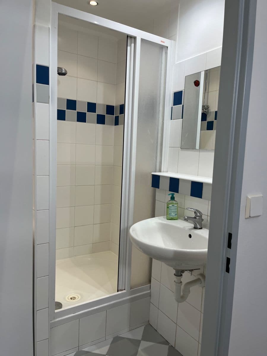 Prenájom bytu 1-izbový 29 m², Tesaříkova, Praha, Praha Prenájom bytu 1-izbový 29 m², Tesaříkova, Praha, Praha