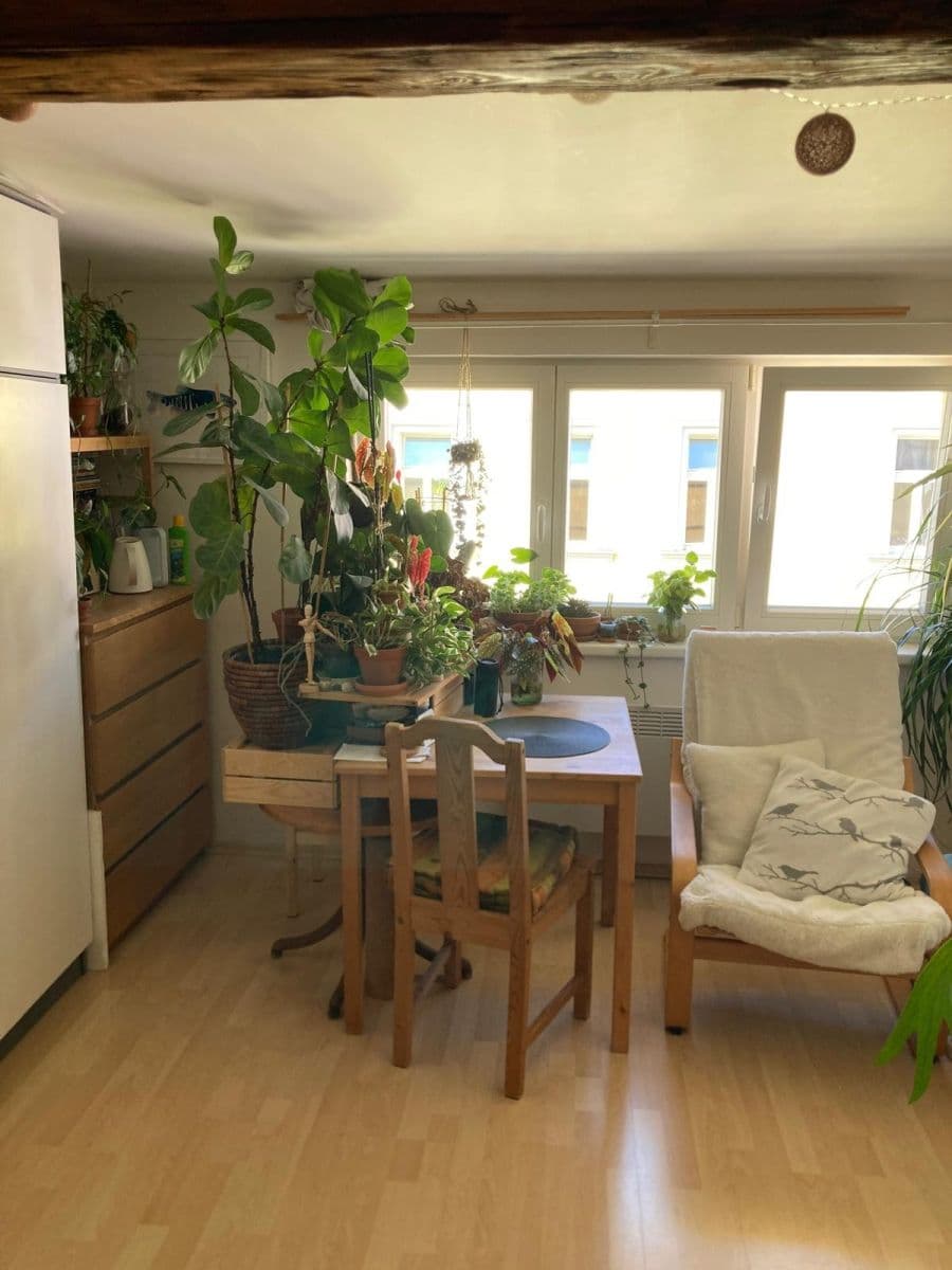 Prenájom bytu 1-izbový 20 m², Nad sokolovnou, Praha, Praha Prenájom bytu 1-izbový 20 m², Nad sokolovnou, Praha, Praha