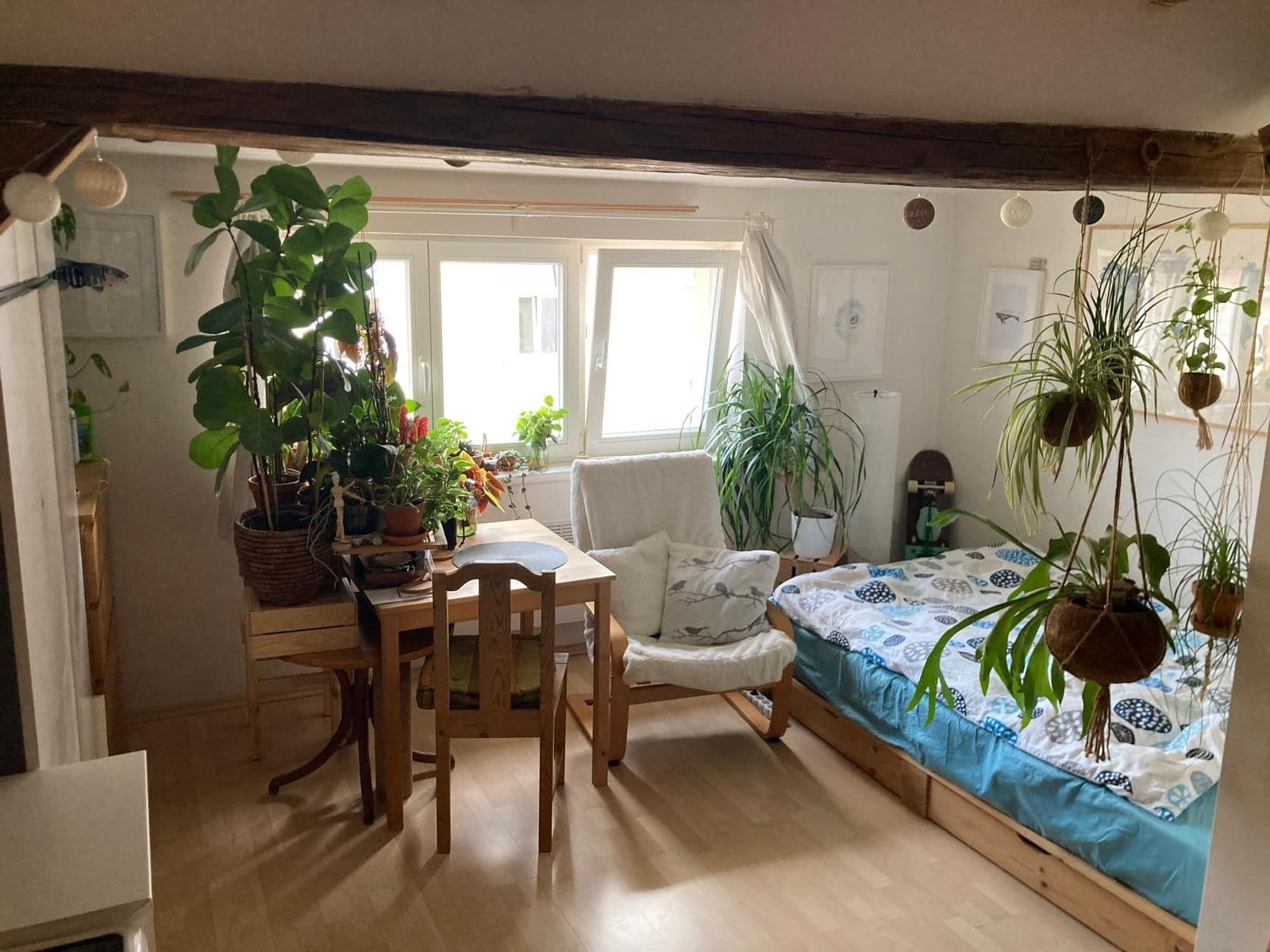 Prenájom bytu 1-izbový 20 m², Nad sokolovnou, Praha, Praha Prenájom bytu 1-izbový 20 m², Nad sokolovnou, Praha, Praha