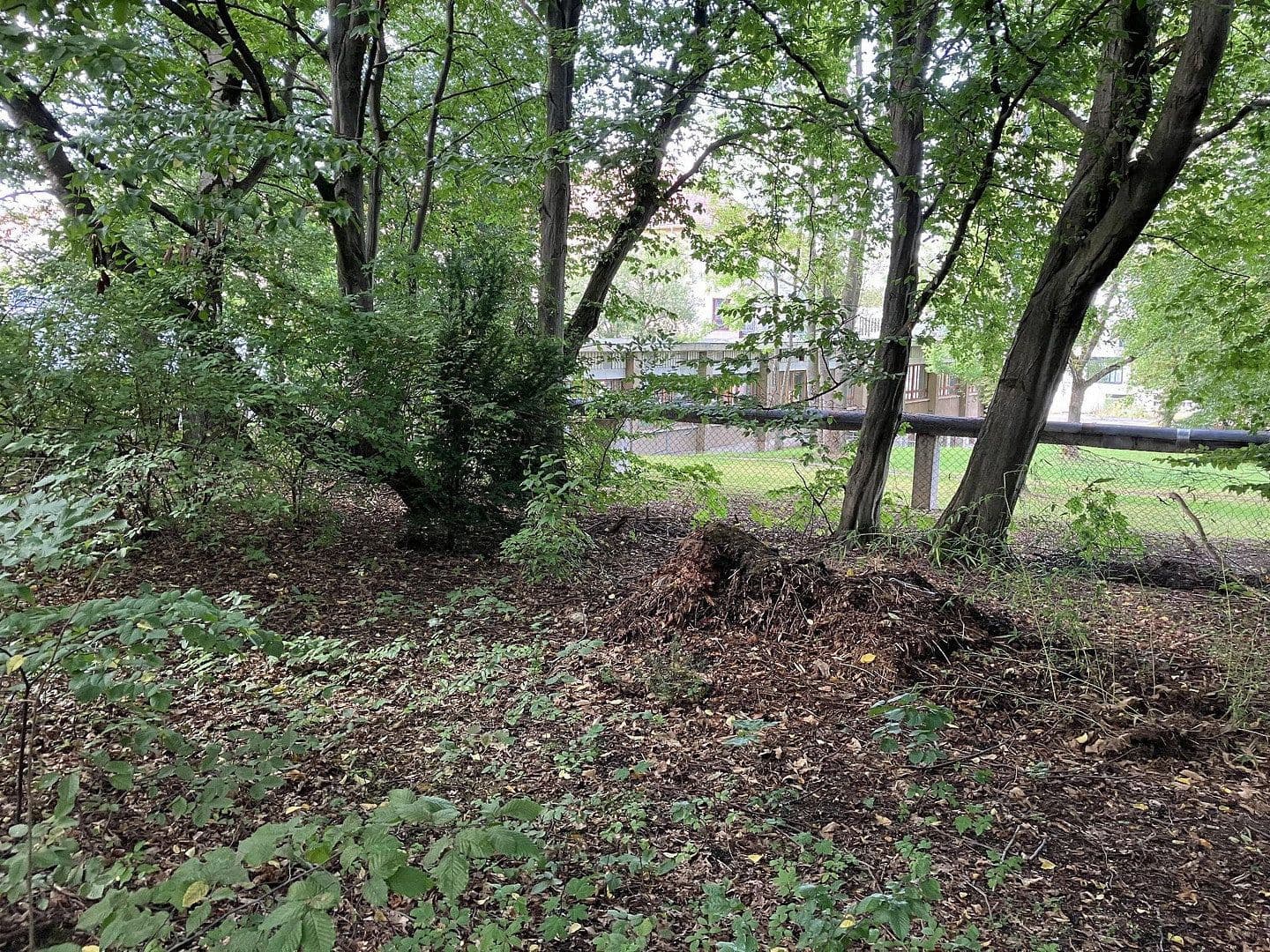 Predaj pozemku 4.870 m², Hainichener Straße, Freiberg, Sasko Predaj pozemku 4.870 m², Hainichener Straße, Freiberg, Sasko