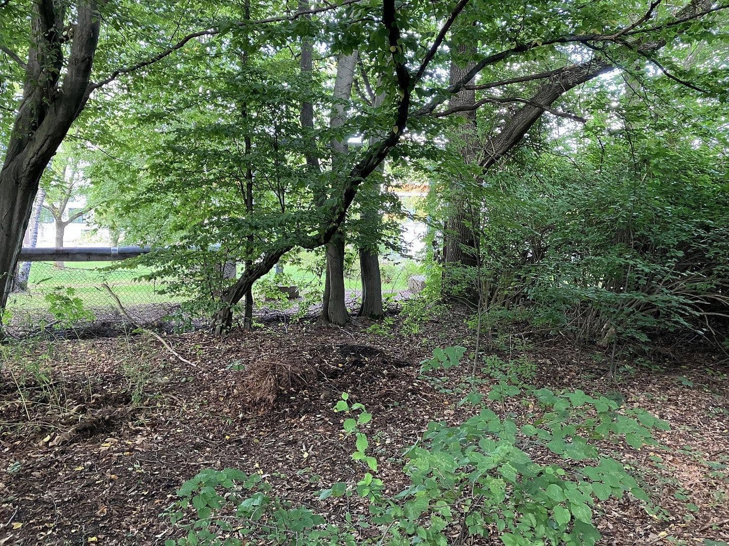 Predaj pozemku 4.870 m², Hainichener Straße, Freiberg, Sasko Predaj pozemku 4.870 m², Hainichener Straße, Freiberg, Sasko