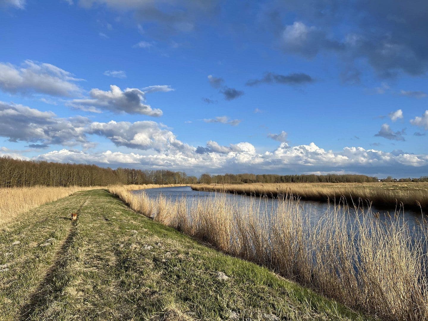 Predaj domu 50 m², pozemok 400 m², Dahme, Šlezvicko-Holštajnsko Predaj domu 50 m², pozemok 400 m², Dahme, Šlezvicko-Holštajnsko