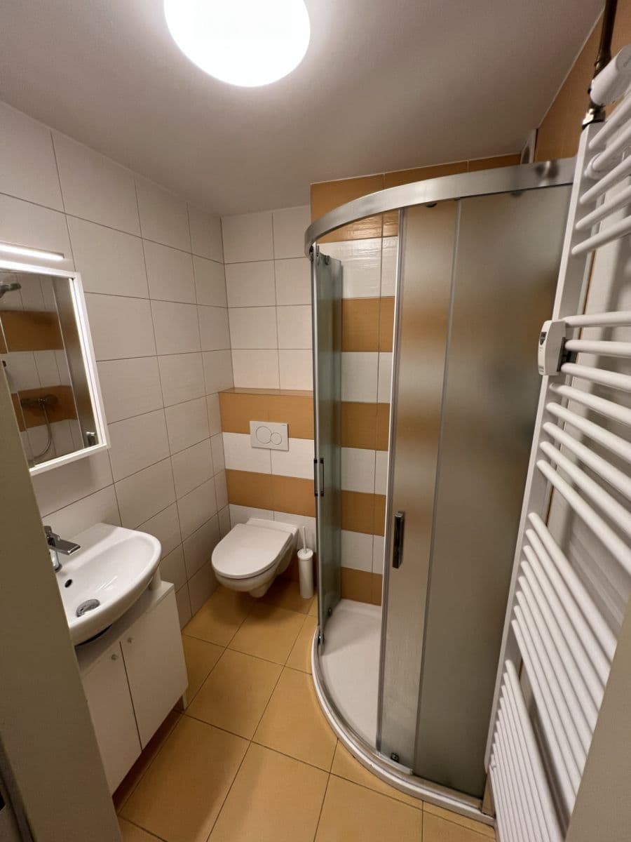 Prenájom bytu 1-izbový 32 m², Partyzánská, Plzeň, Plzeňský kraj Prenájom bytu 1-izbový 32 m², Partyzánská, Plzeň, Plzeňský kraj
