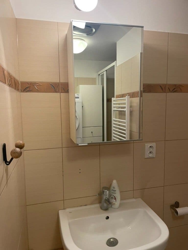 Prenájom bytu 1-izbový 40 m², Pod Stupni, Praha, Praha Prenájom bytu 1-izbový 40 m², Pod Stupni, Praha, Praha