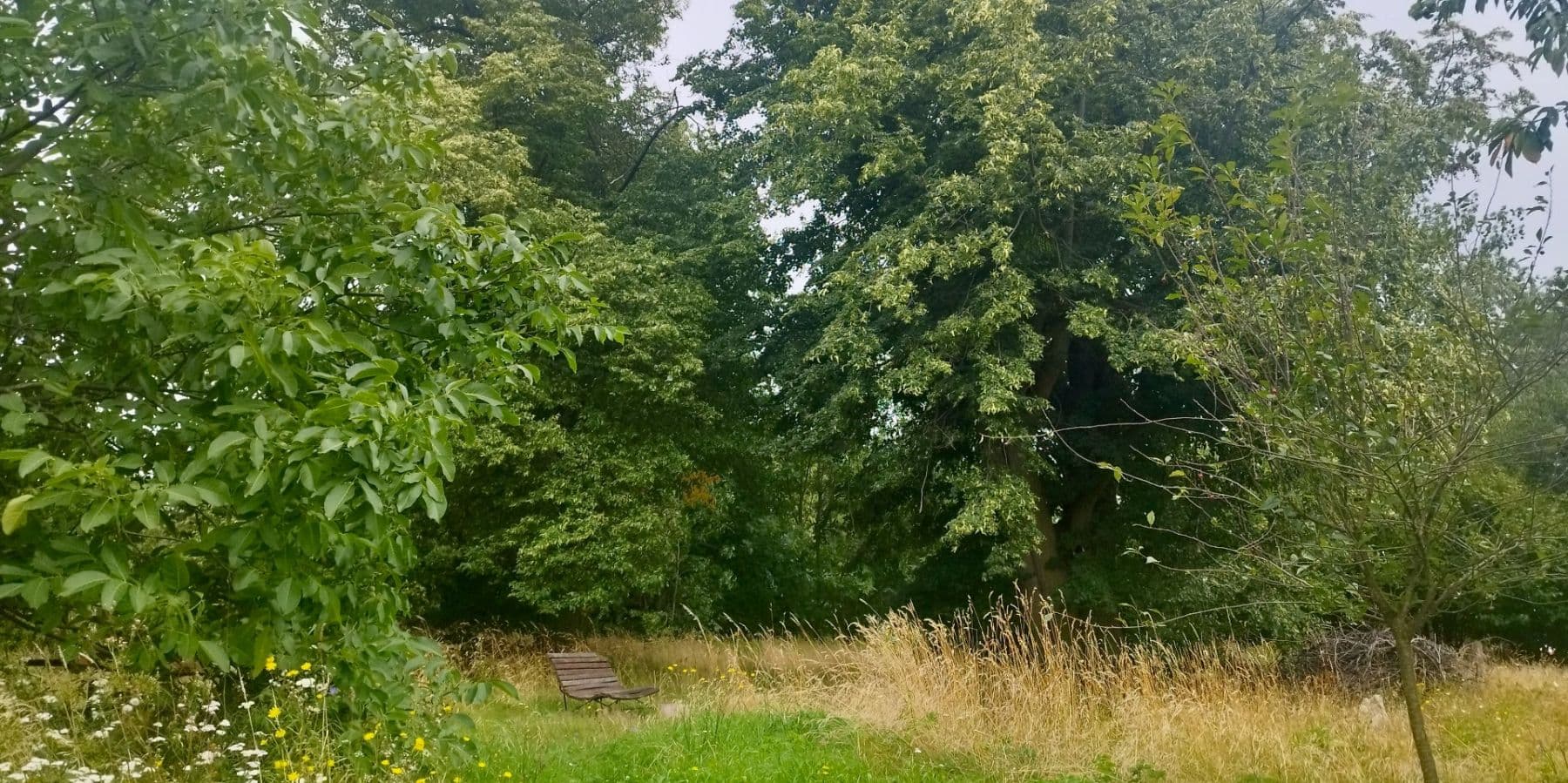 Predaj domu 200 m², pozemok 1.490 m², Staré Heřminovy, Moravskoslezský kraj Predaj domu 200 m², pozemok 1.490 m², Staré Heřminovy, Moravskoslezský kraj