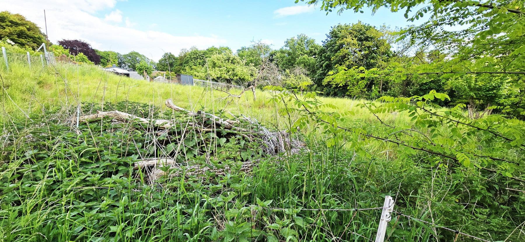 Predaj domu 120 m², pozemok 7.300 m², Radebeul, Sasko Predaj domu 120 m², pozemok 7.300 m², Radebeul, Sasko