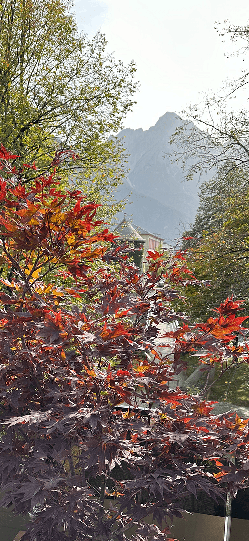 Predaj bytu 3-izbový 85 m², Lienz, Tirolsko Predaj bytu 3-izbový 85 m², Lienz, Tirolsko