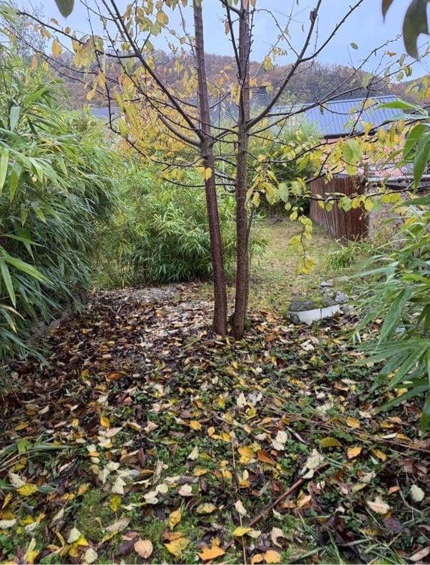 Predaj domu 150 m², pozemok 443 m², Neumagen-Dhron, Porýnie-Falcko Predaj domu 150 m², pozemok 443 m², Neumagen-Dhron, Porýnie-Falcko