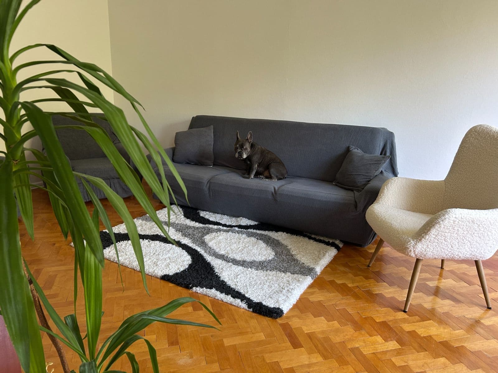 Prenájom bytu 2-izbový 66 m², Hlinská, Žilina, Žilinský kraj Prenájom bytu 2-izbový 66 m², Hlinská, Žilina, Žilinský kraj