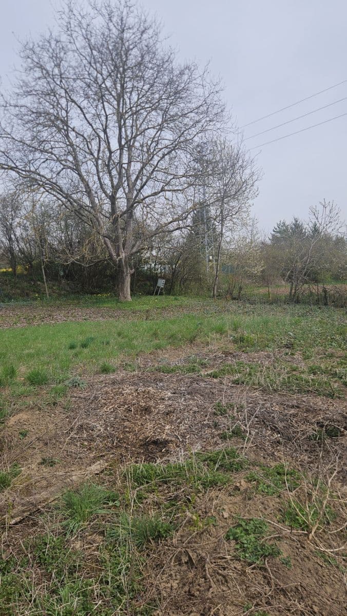 Predaj pozemku 1.155 m², Kuřim, Jihomoravský kraj Predaj pozemku 1.155 m², Kuřim, Jihomoravský kraj