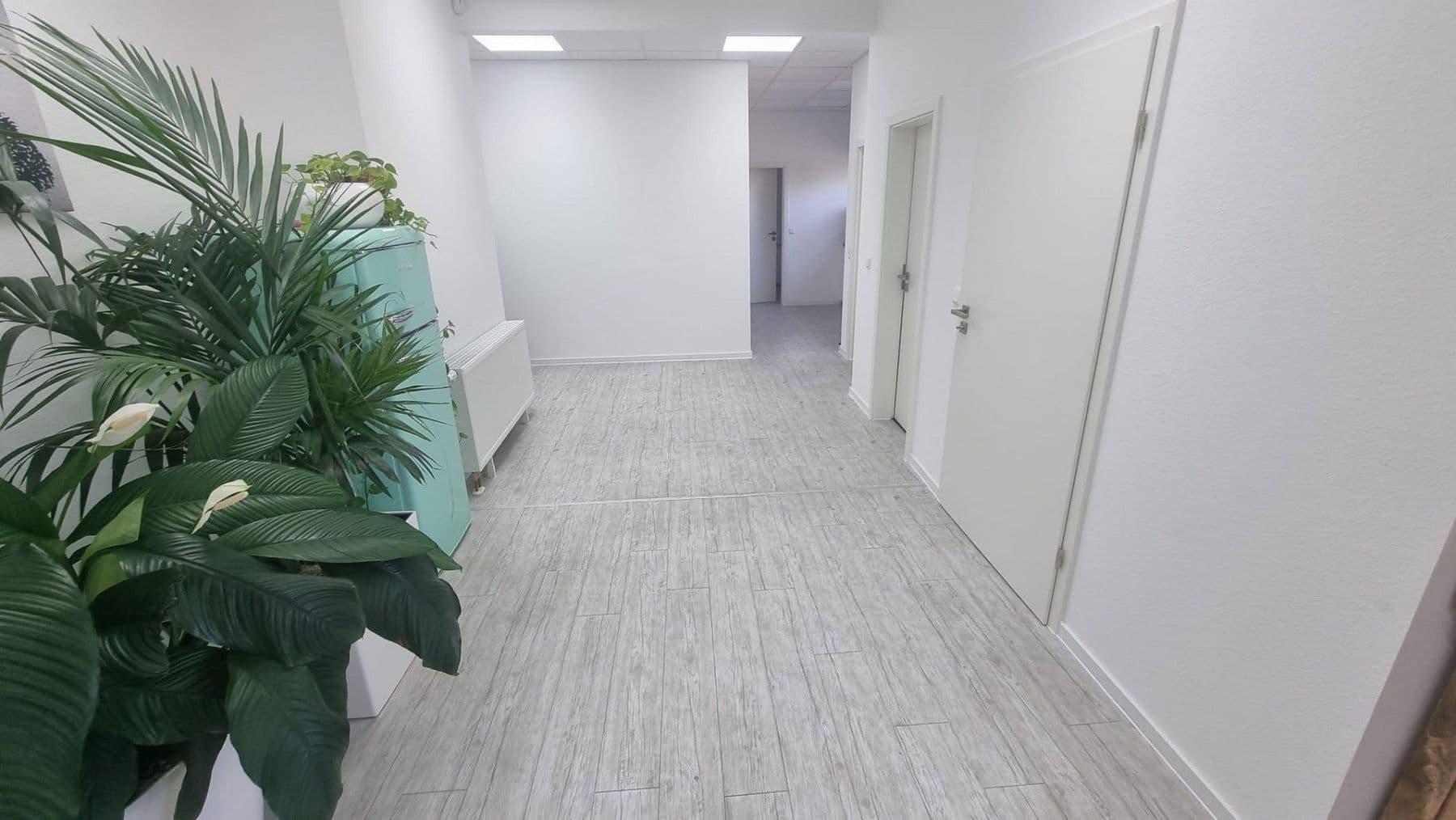 Predaj nebytového priestoru 2.800 m², Bauhofstr. 24, Lampertheim, Hesensko Predaj nebytového priestoru 2.800 m², Bauhofstr. 24, Lampertheim, Hesensko
