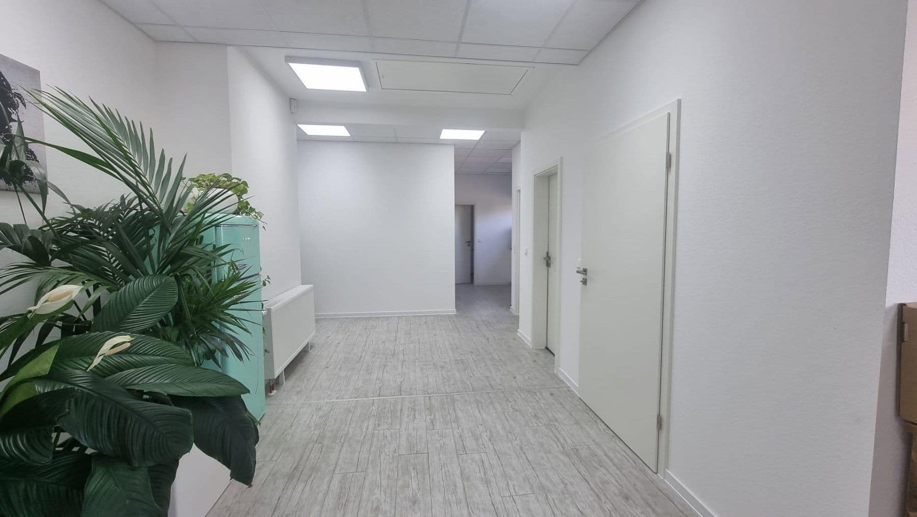 Predaj nebytového priestoru 2.800 m², Bauhofstr. 24, Lampertheim, Hesensko Predaj nebytového priestoru 2.800 m², Bauhofstr. 24, Lampertheim, Hesensko
