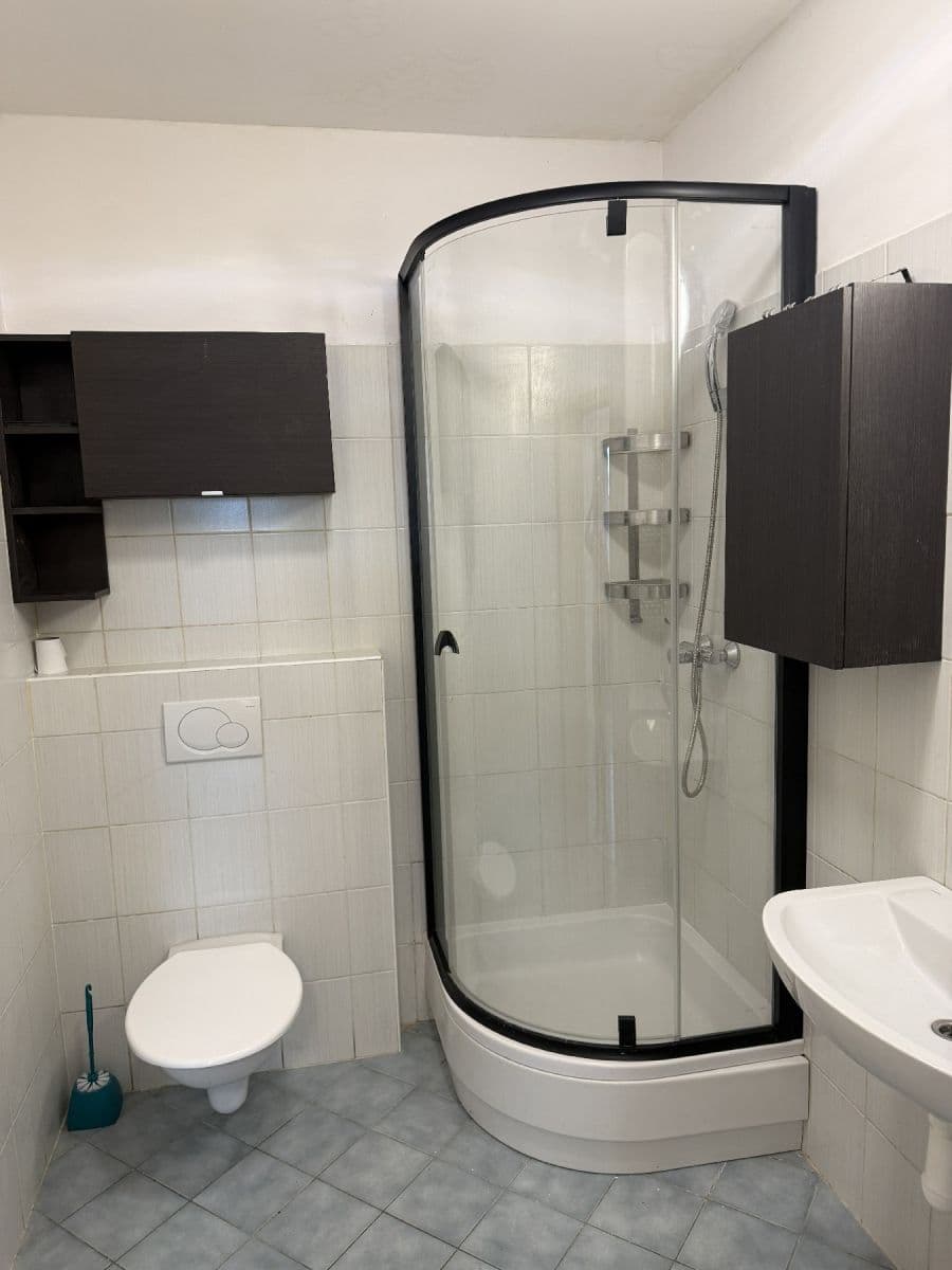 Prenájom bytu 2-izbový 55 m², Cejl, Brno, Jihomoravský kraj Prenájom bytu 2-izbový 55 m², Cejl, Brno, Jihomoravský kraj