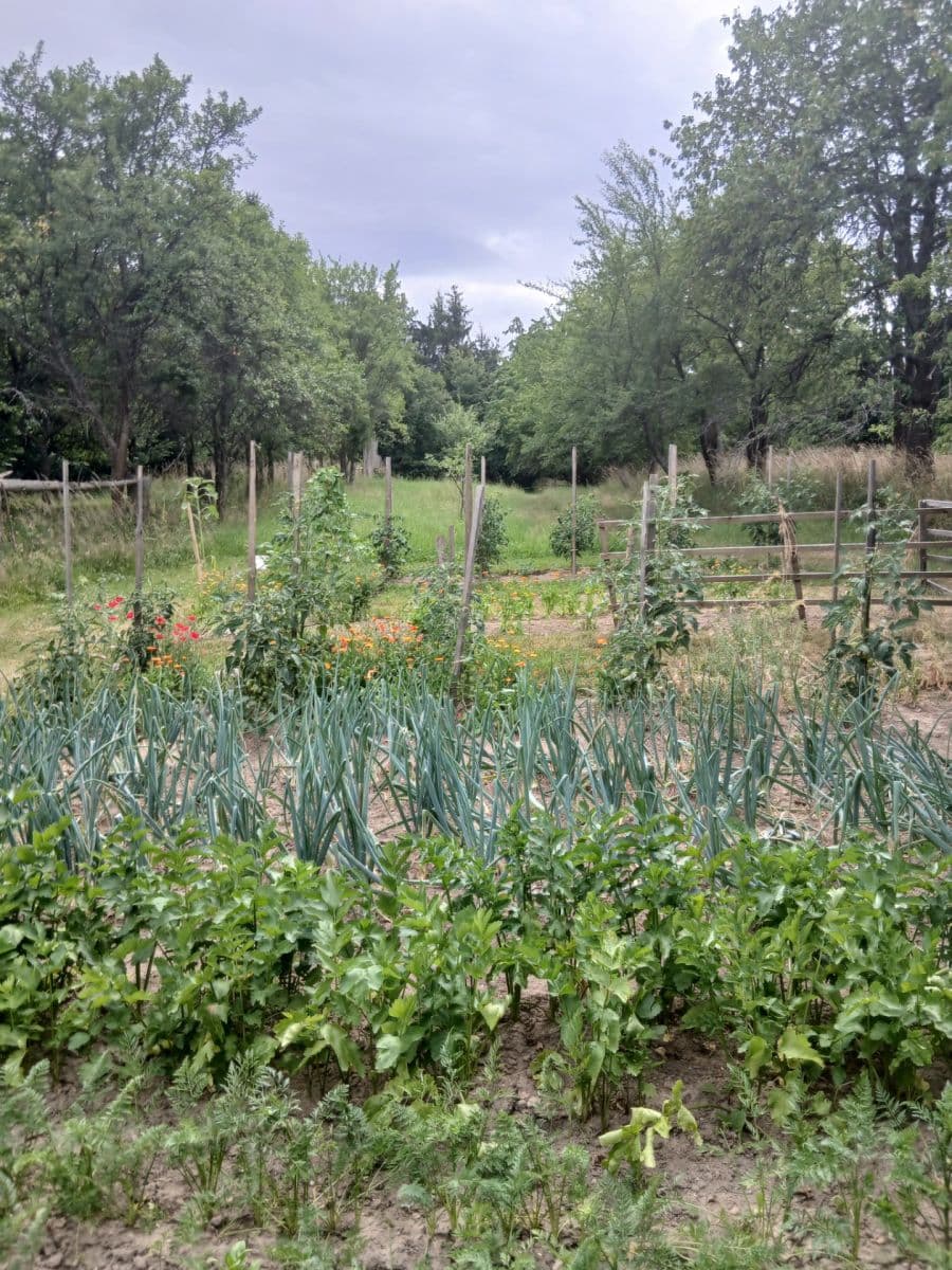 Predaj domu 95 m², pozemok 2.793 m², Slavonice, Jihočeský kraj Predaj domu 95 m², pozemok 2.793 m², Slavonice, Jihočeský kraj