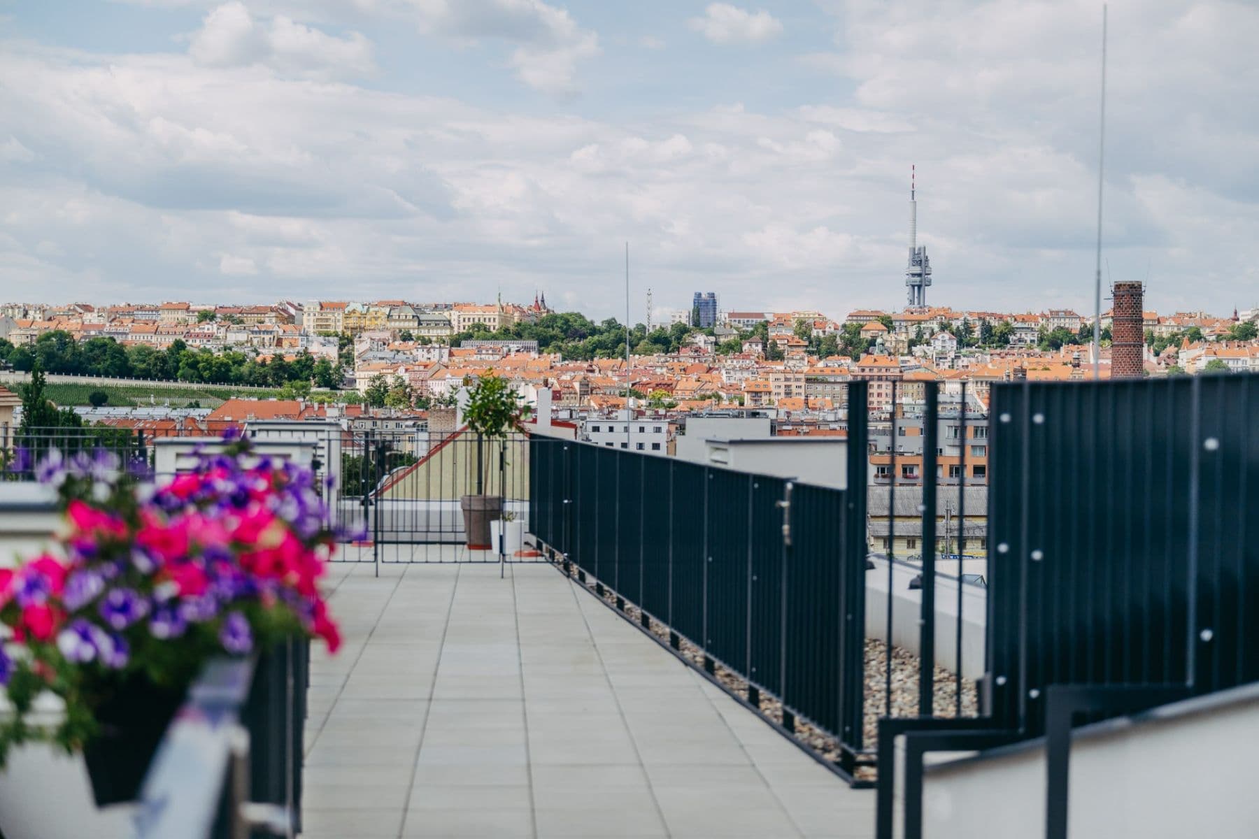 Prenájom bytu 1-izbový 34 m², Maroldova, Praha, Praha Prenájom bytu 1-izbový 34 m², Maroldova, Praha, Praha