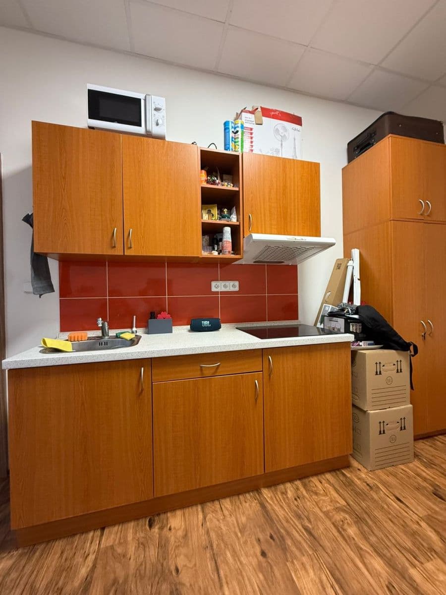 Prenájom bytu 1-izbový 25 m², Palackého, Holešov, Zlínský kraj Prenájom bytu 1-izbový 25 m², Palackého, Holešov, Zlínský kraj