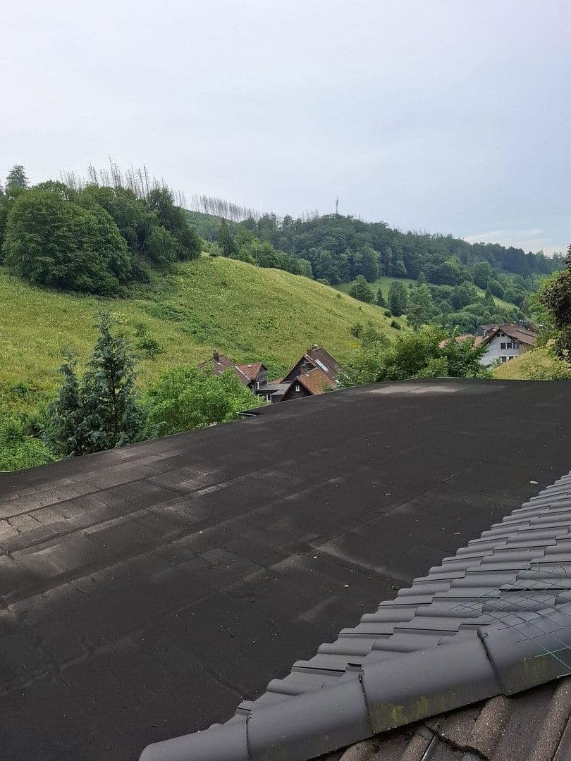 Predaj domu 166 m², pozemok 4.170 m², Osterode am Harz, Dolné Sasko Predaj domu 166 m², pozemok 4.170 m², Osterode am Harz, Dolné Sasko