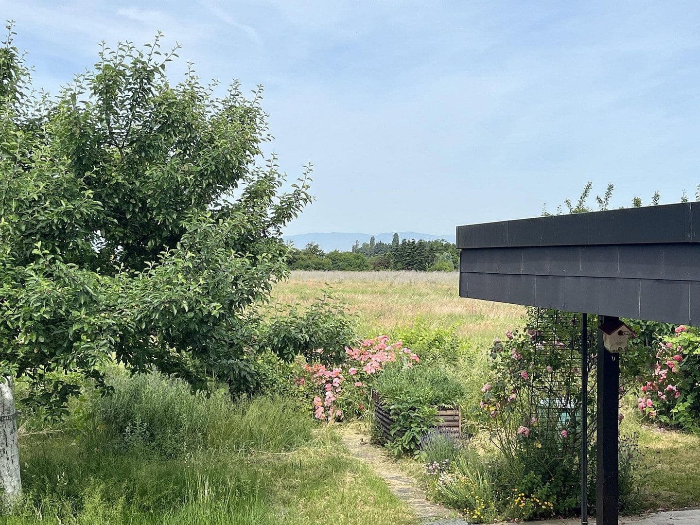 Predaj domu 150 m², pozemok 497 m², Stiegelenweg 6, Staufen im Breisgau, Bádensko-Wurttembersko Predaj domu 150 m², pozemok 497 m², Stiegelenweg 6, Staufen im Breisgau, Bádensko-Wurttembersko