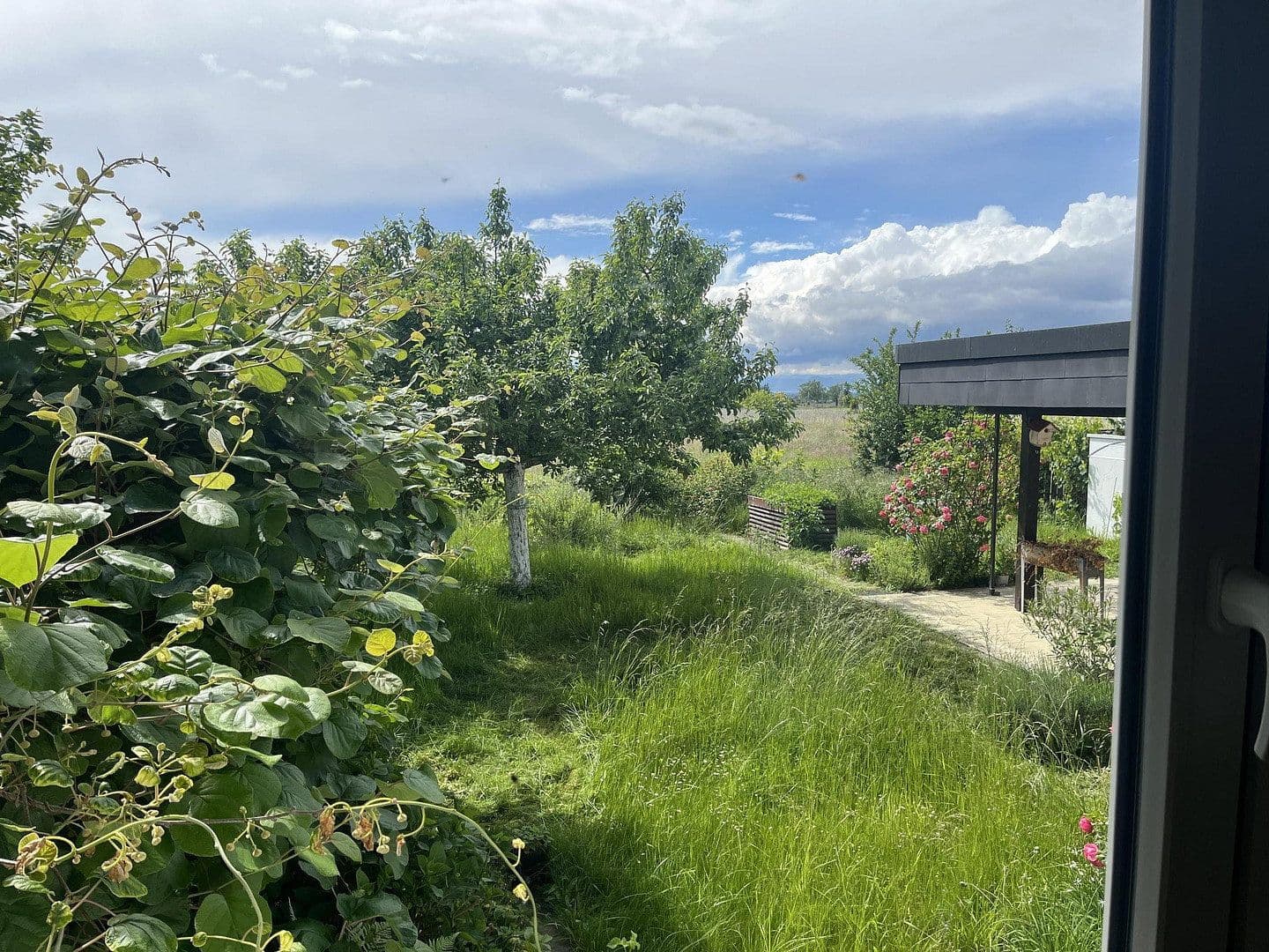 Predaj domu 150 m², pozemok 497 m², Stiegelenweg 6, Staufen im Breisgau, Bádensko-Wurttembersko Predaj domu 150 m², pozemok 497 m², Stiegelenweg 6, Staufen im Breisgau, Bádensko-Wurttembersko