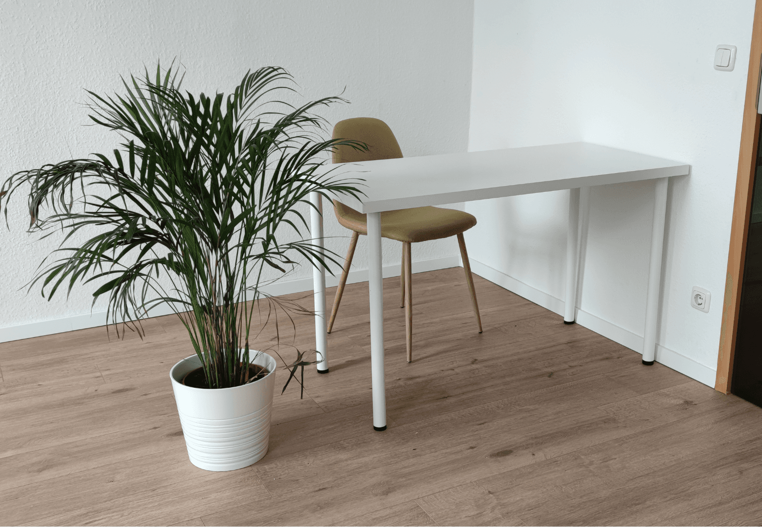 Prenájom kancelárie 250 m², Anger 9, Erfurt, Durínsko Prenájom kancelárie 250 m², Anger 9, Erfurt, Durínsko
