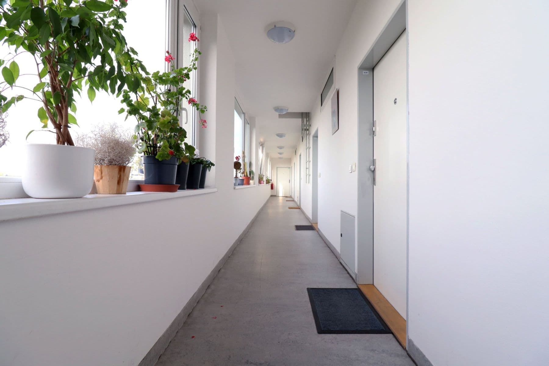 Prenájom bytu 2-izbový 44 m², Chotěšovská, Praha, Praha Prenájom bytu 2-izbový 44 m², Chotěšovská, Praha, Praha