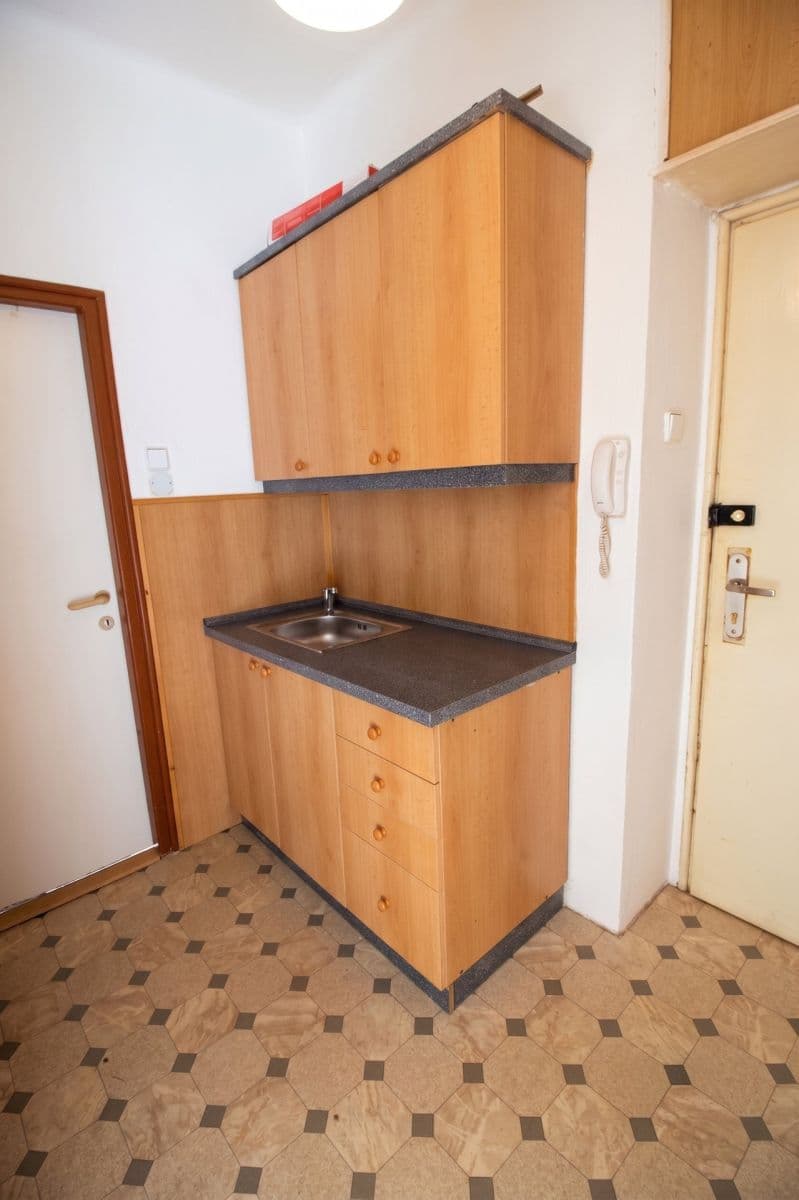 Prenájom bytu 1-izbový 28 m², Novorossijská, Praha, Praha Prenájom bytu 1-izbový 28 m², Novorossijská, Praha, Praha